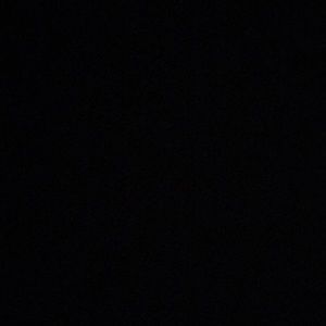 Meet your Posher, Dario